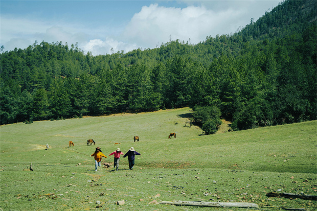 云南旅游,云南旅行社,云南團(tuán)建公司,云南策劃公司,云南會(huì)議會(huì)展,云南旅游地接,怒江旅游,怒江旅行社,怒江團(tuán)建公司,怒江策劃公司：“被羅古箐的山野擁抱、滌凈，再神清氣爽地回去”